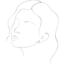 Load image into Gallery viewer, 88103:120:P