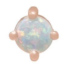 Load image into Gallery viewer, 88059:125:P