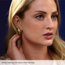 Load image into Gallery viewer, 192039:100:P