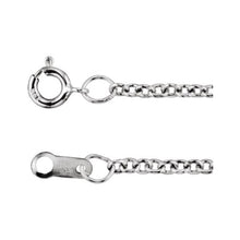 Load image into Gallery viewer, CH176:135596:P