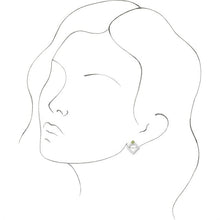 Load image into Gallery viewer, 86889:6011:P