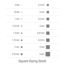 Load image into Gallery viewer, SIZING STOCK:100426:P
