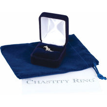 Load image into Gallery viewer, Cross & Heart Chastity Ring