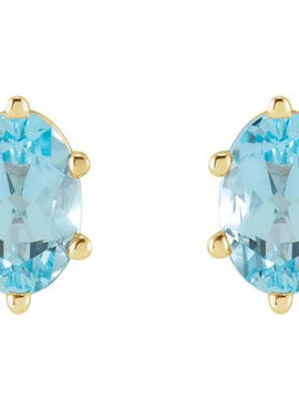 Platinum Natural Sky Blue Topaz Earrings