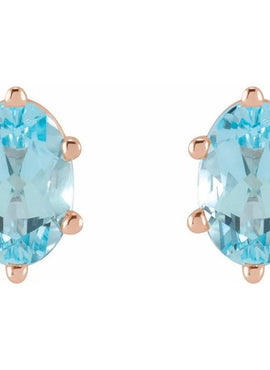 Platinum Natural Sky Blue Topaz Earrings