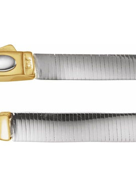 14K Yellow/White Gold 6 mm Reversible Omega 18
