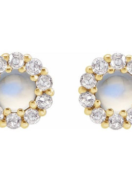 14K White Gold 1/4 CTW Rose-Cut Natural Diamond Halo-Style Earrings