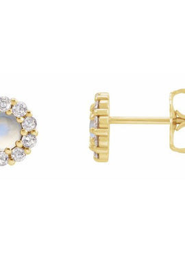 14K White Gold 1/4 CTW Rose-Cut Natural Diamond Halo-Style Earrings