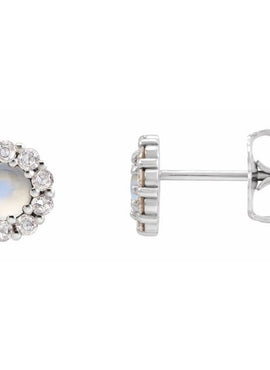 14K White Gold 1/4 CTW Rose-Cut Natural Diamond Halo-Style Earrings