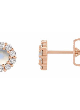 14K White Gold 1/4 CTW Rose-Cut Natural Diamond Halo-Style Earrings