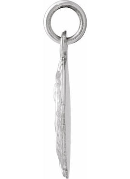14K White Gold 12x9 mm Scapular Medal
