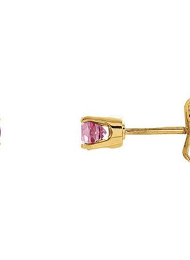 14K White Gold Imitation Mozambique Garnet Youth Earrings