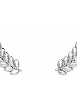 14K White Gold Petite Leaf Ear Climbers