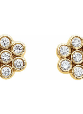 14K White Gold 1/4 CTW Natural Diamond Cluster Earrings