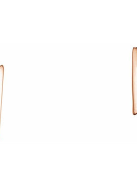 14K White Gold Lightning Bolt Earrings