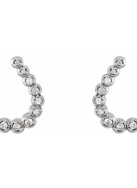 14K White Gold 1/4 CTW Natural Diamond Earrings