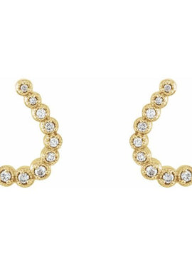 14K White Gold 1/4 CTW Natural Diamond Earrings