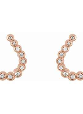 14K White Gold 1/4 CTW Natural Diamond Earrings