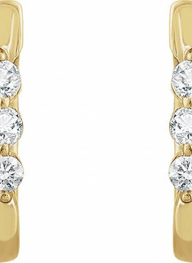 14K Yellow Gold 1/4 CTW Natural Diamond 14 mm Hoop Earrings