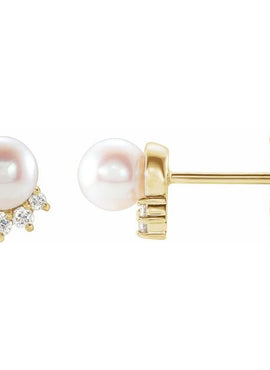 14K White Gold Cultured White Freshwater Cultured Pearl & .08 CTW Natural Diamond Earrings