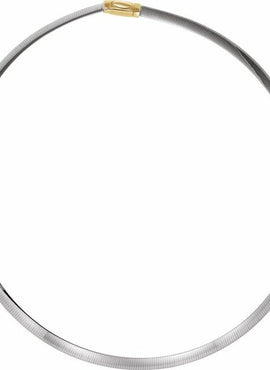 14K Yellow/White Gold 6 mm Reversible Omega 18