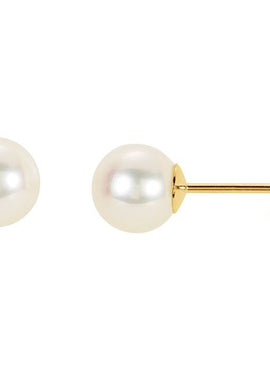 14K Yellow Gold Panache® Cultured White Freshwater Pearl Stud Earrings