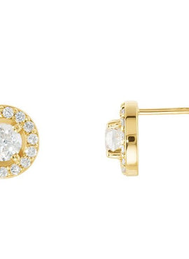 14K Rose Gold 3/8 CTW Natural Diamond Halo-Style Earrings