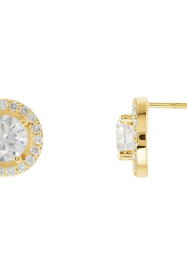 14K Rose Gold 3/8 CTW Natural Diamond Halo-Style Earrings