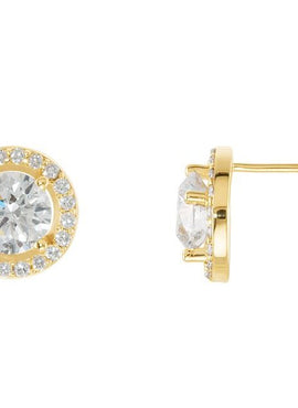 14K Rose Gold 3/8 CTW Natural Diamond Halo-Style Earrings