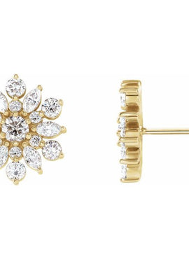 14K White Gold 1 CTW Natural Diamond Earrings