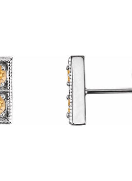 14K White Gold Natural Aquamarine Two-Stone Earrings