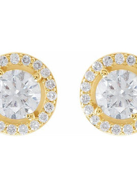 14K Rose Gold 3/8 CTW Natural Diamond Halo-Style Earrings
