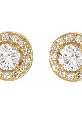14K Rose Gold 3/8 CTW Natural Diamond Halo-Style Earrings
