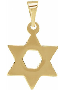 14K White Gold 32x26 mm Star of David Pendant