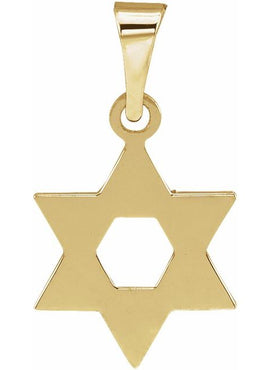 14K White Gold 32x26 mm Star of David Pendant
