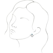 Load image into Gallery viewer, 86889:6005:P
