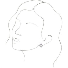 Load image into Gallery viewer, 86889:6004:P
