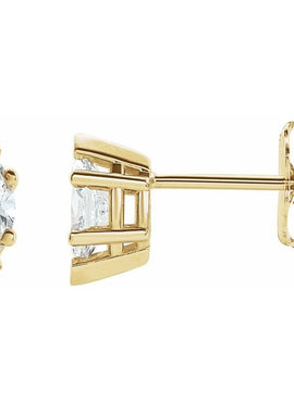 Platinum 1/2 CTW Natural Diamond Earrings