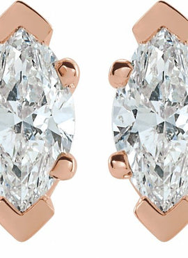 Platinum 1/2 CTW Natural Diamond Earrings