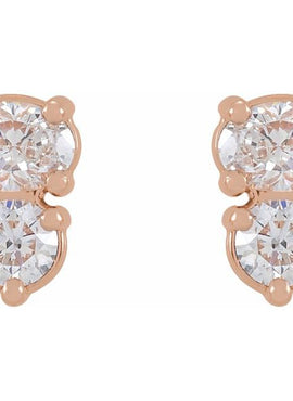 Sterling Silver 1/2 CTW Natural Diamond Two-Stone Earrings