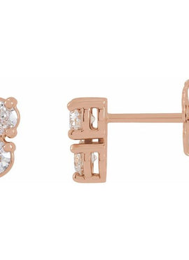 Sterling Silver 1/2 CTW Natural Diamond Two-Stone Earrings