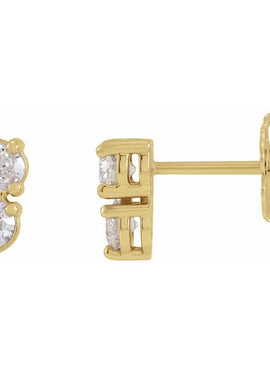 Sterling Silver 1/2 CTW Natural Diamond Two-Stone Earrings