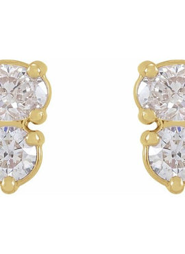 Sterling Silver 1/2 CTW Natural Diamond Two-Stone Earrings
