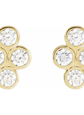 14K Rose Gold 3/4 CTW Natural Diamond Bezel-Set Cluster Earrings