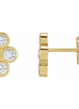 14K Rose Gold 3/4 CTW Natural Diamond Bezel-Set Cluster Earrings