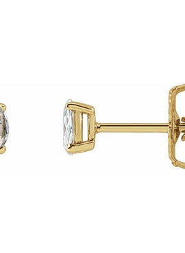 14K White Gold 1/5 CTW Rose-Cut Natural Diamond Earrings