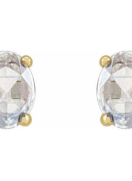 14K White Gold 1/5 CTW Rose-Cut Natural Diamond Earrings