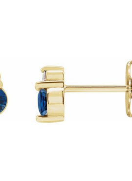 Platinum Natural Blue Sapphire & .03 CTW Natural Diamond Earrings