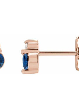 Platinum Natural Blue Sapphire & .03 CTW Natural Diamond Earrings
