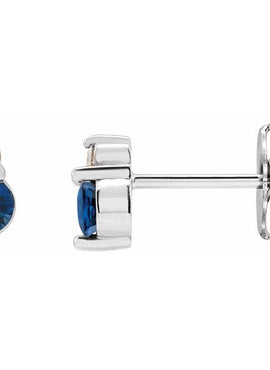 Platinum Natural Blue Sapphire & .03 CTW Natural Diamond Earrings